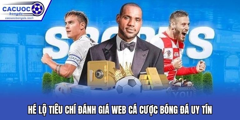 Khám Phá Toàn Diện Thế Giới Bóng Đá Cùng Cacuoc-bongda.info - Nơi Tổng Hợp Thông Tin, Dự Đoán Chính Xác Và Trải Nghiệm Tham Gia Đỉnh Cao